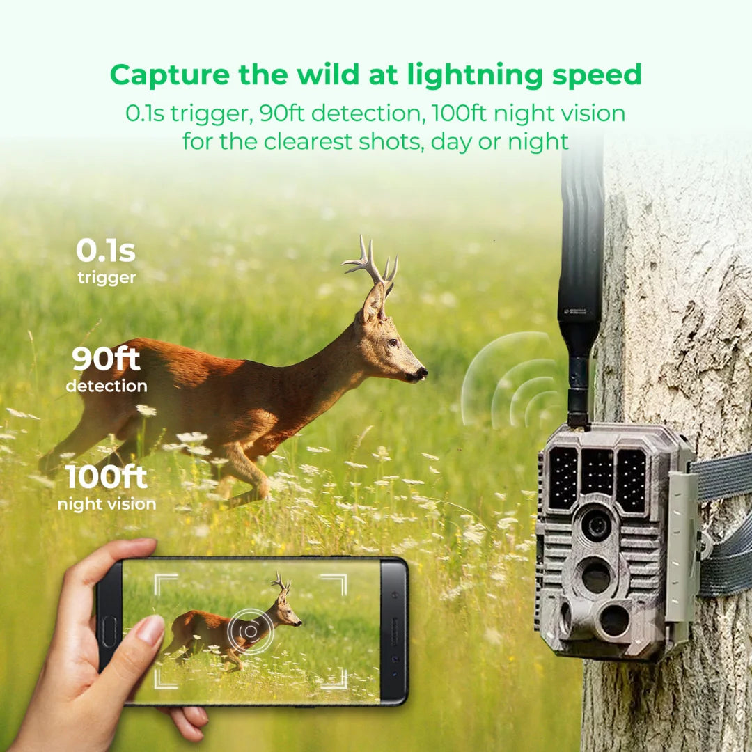 Cellular Trail Camera With 4G LTE IP66 Waterproof For Outdoors