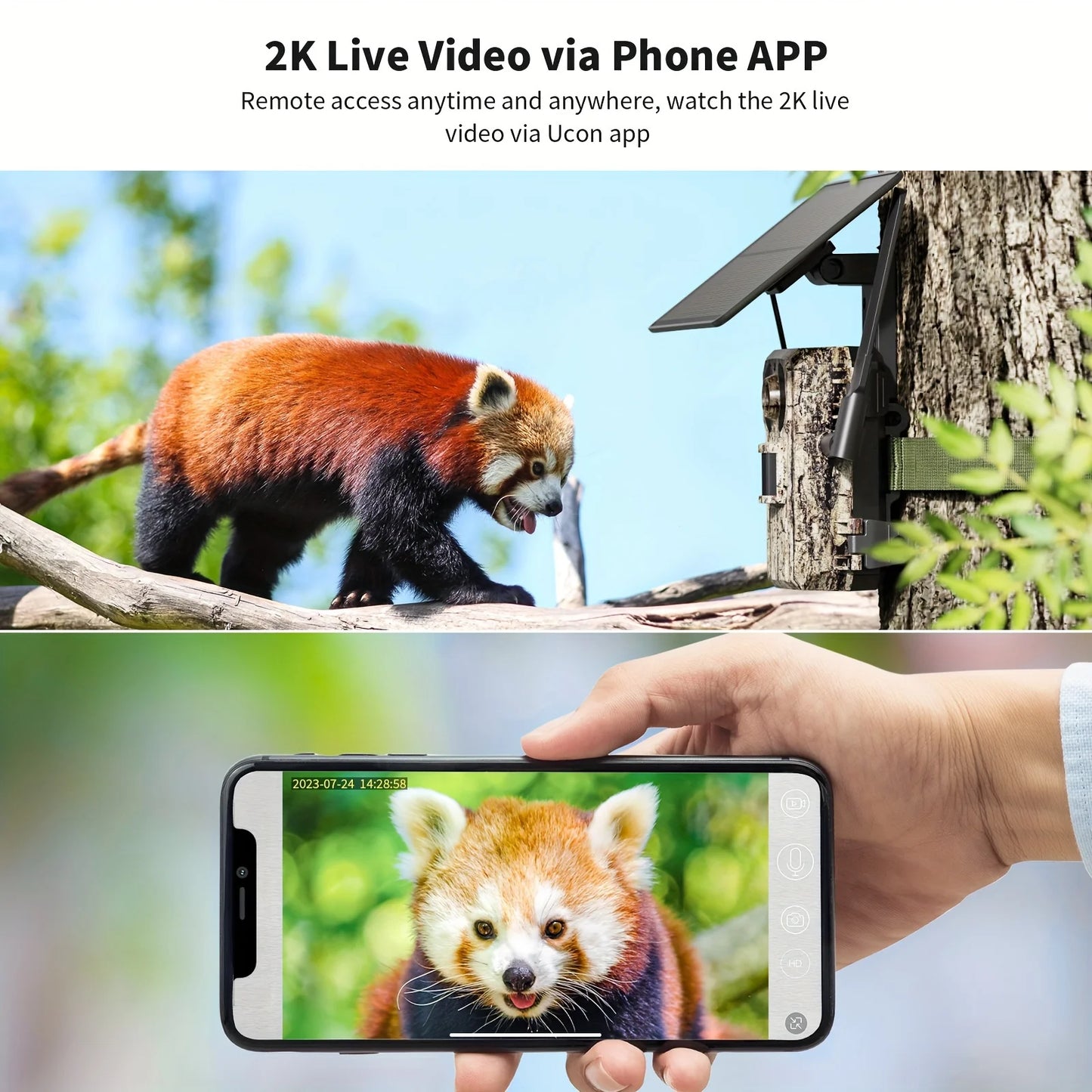 RBX-H10 4G LTE Cellular Trail Camera With Live Streaming