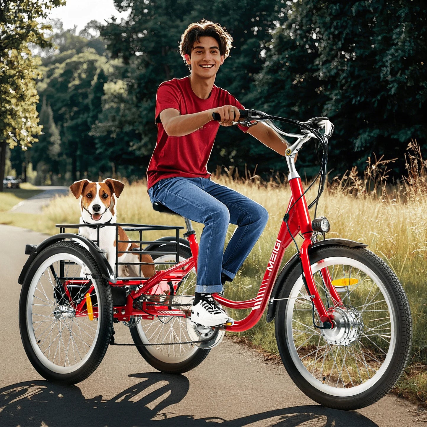 Electric Cargo Tricycle For Adults With 350W Motor And 36V
