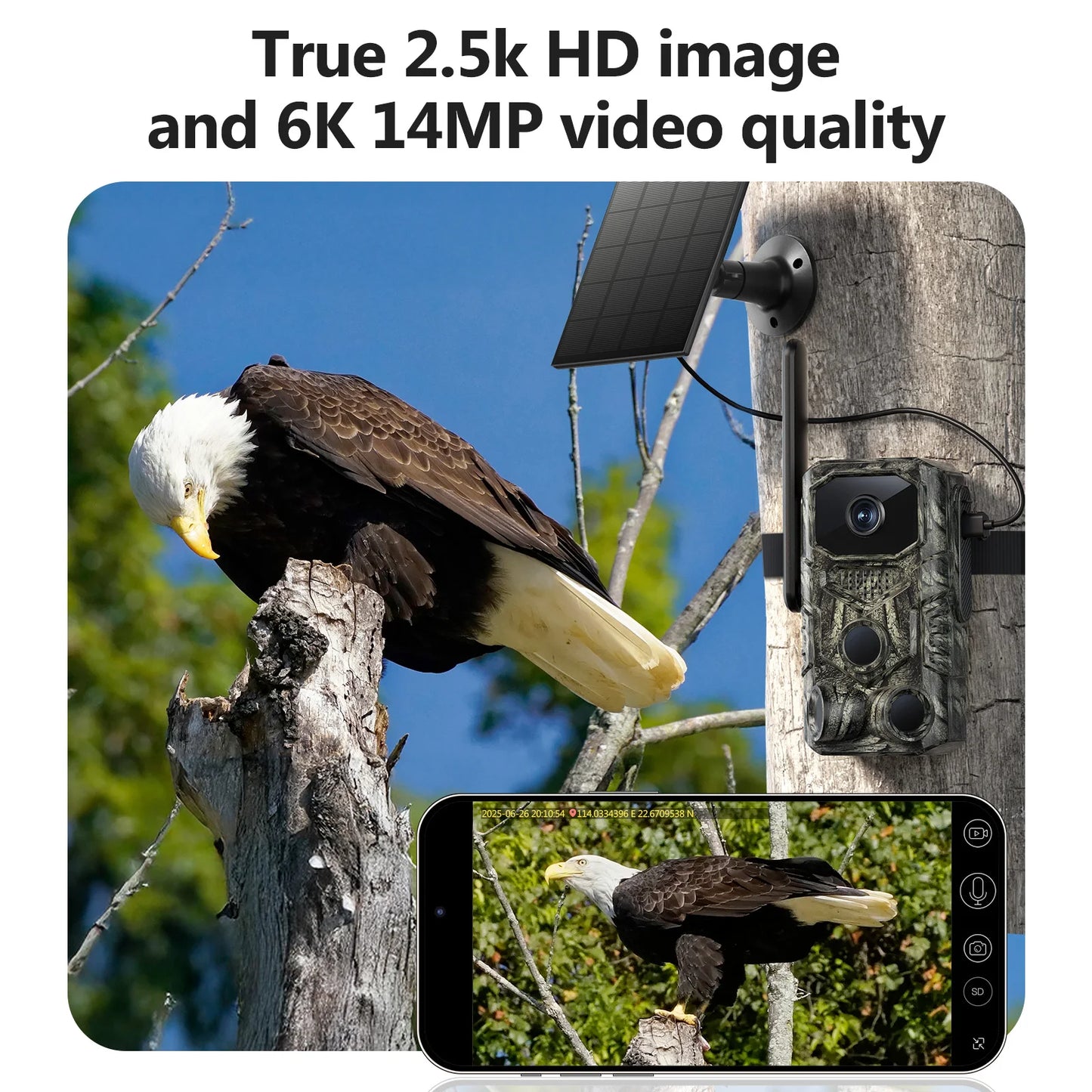 4G GPS Trail Camera Solar Power Wide Angle 4MP Camouflage