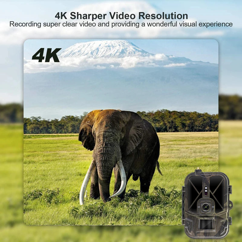Suntekcam 4G HD Live Video Trail Camera 50MP 4K Waterproof