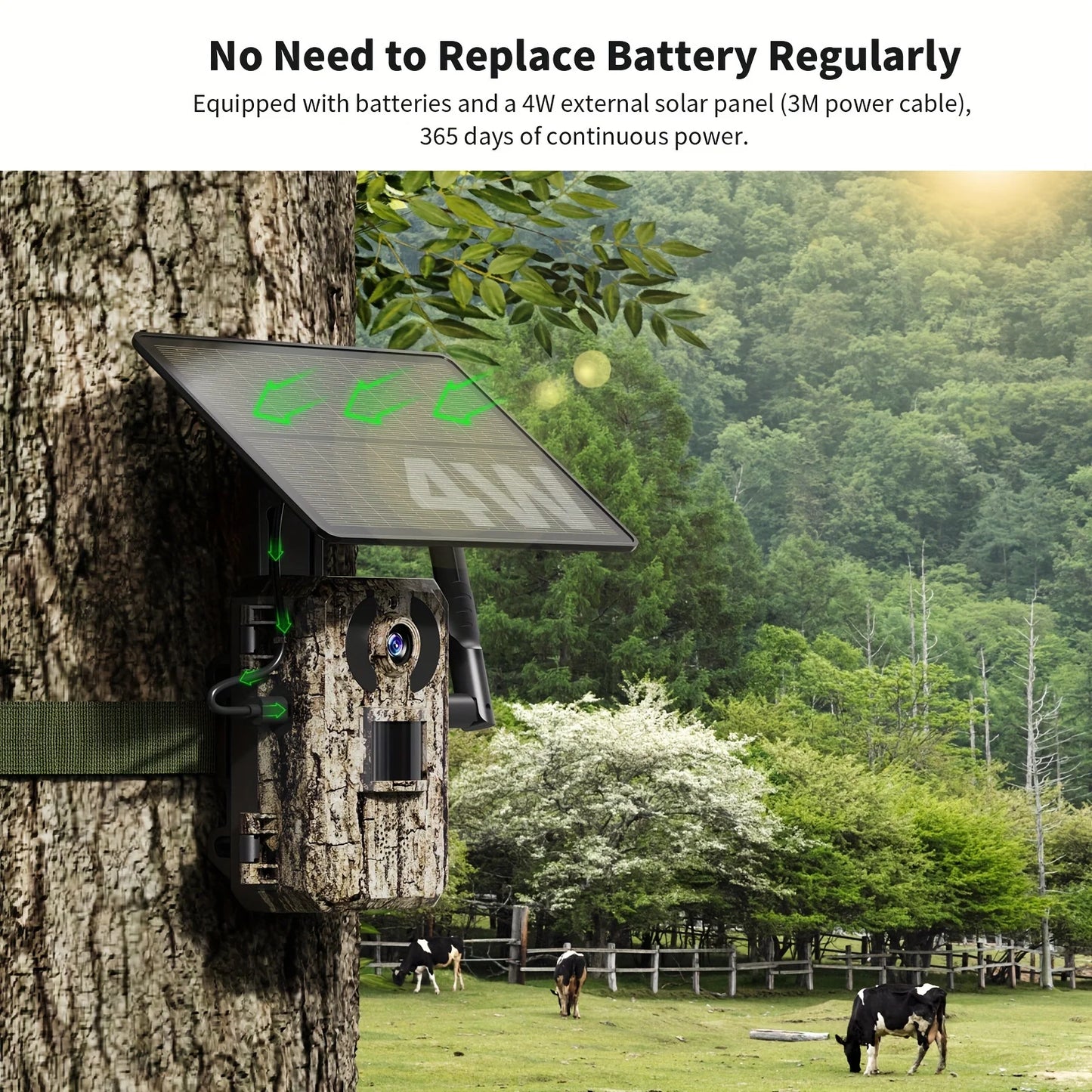 RBX-H10 4G LTE Cellular Trail Camera With Live Streaming