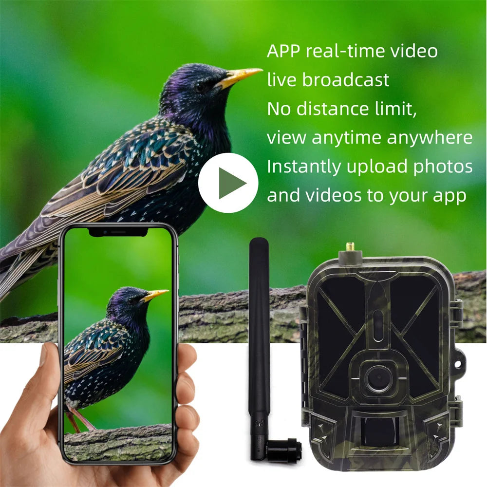 Suntekcam 4G HD Live Video Trail Camera 50MP 4K Waterproof