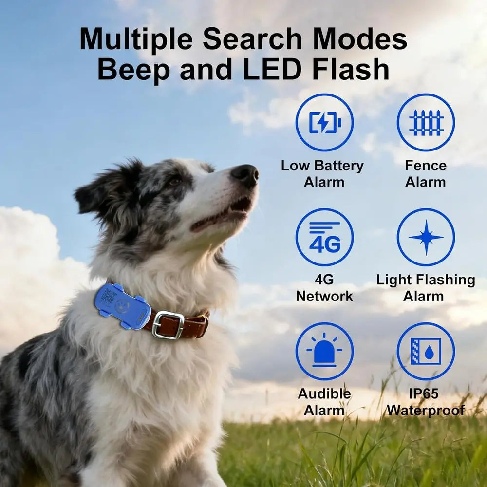 GPS Pet Tracker for Dogs and Cats RealTime Location Alerts