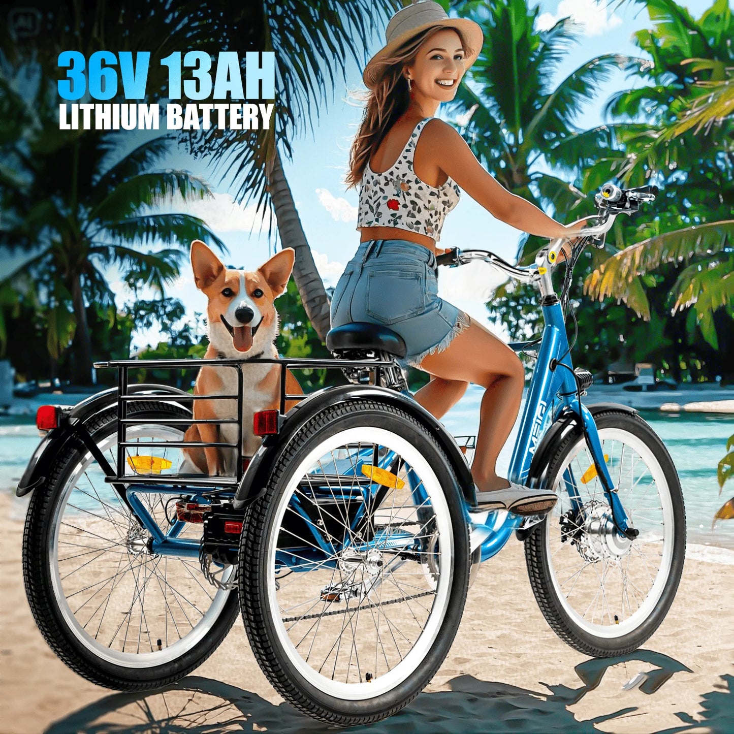 Electric Cargo Tricycle For Adults With 350W Motor And 36V